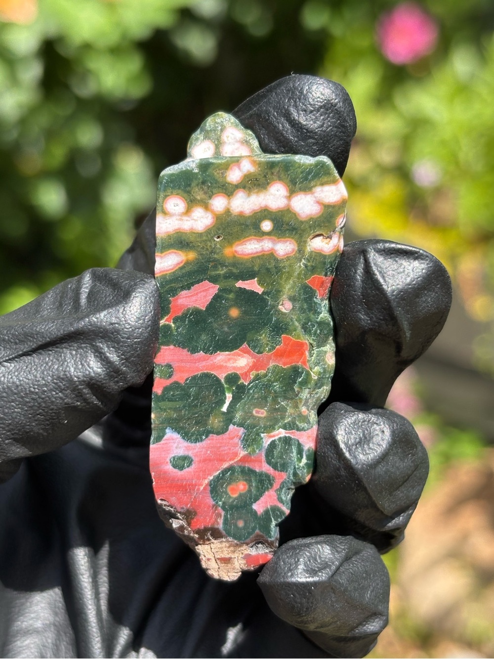 Small Ocean Jasper Crystal Slab - Orbicular Jasper - Polished Sea Jasper